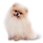 문구/취미/반려