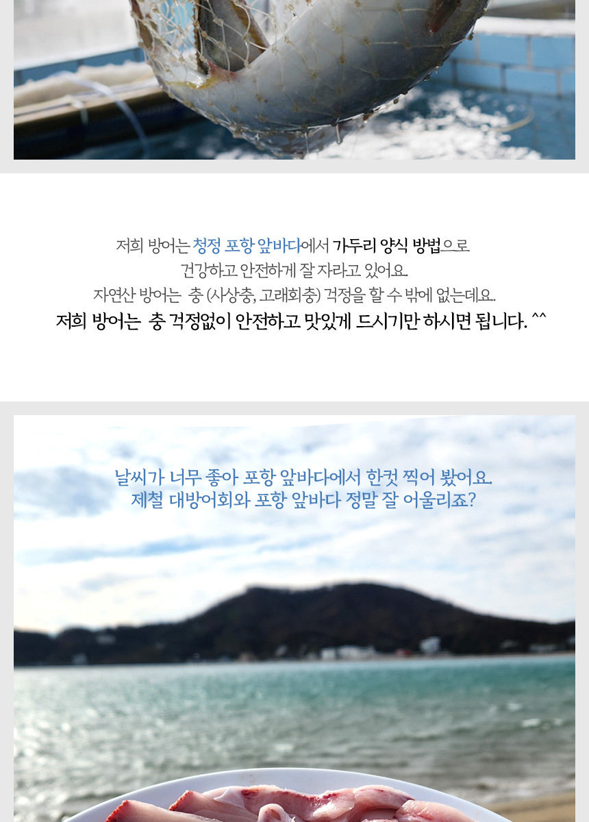 진짜 대방어 구룡포 10kg급 대방어회 400g