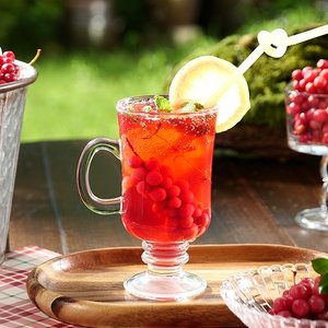 더진한 오미자진액365 100포