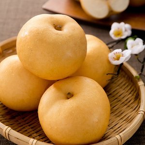 [정성애찬]아삭달콤 가정용 햇배 4.5kg(6-8과/중대과)