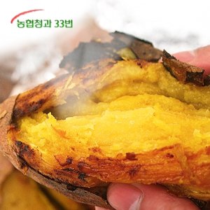[농협청과33번] 당도높은 꿀고구마 10kg 긴특/긴상