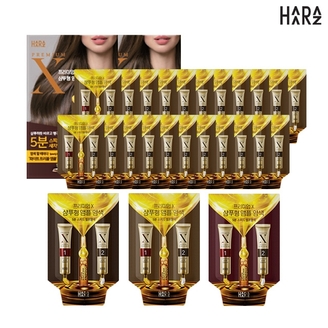 하라즈프리미엄X앰플염색제(20개입)