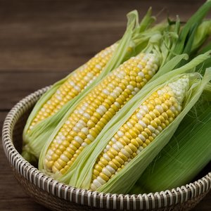초당옥수수 특품(15cm 이상) 20개입