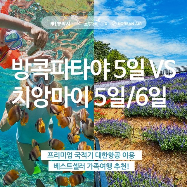 [슈퍼트래블] 방콕/파타야 VS 치앙마이 (대한항공+상반기 단 2회 방송)