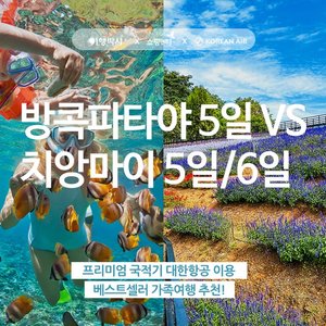 [슈퍼트래블] 방콕/파타야 VS 치앙마이 (대한항공+상반기 단 2회 방송)