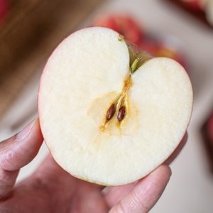 경북 햇 가정용 홍로사과 3kg+3kg (총 6kg)