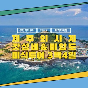 [부민가자투어] 제주의사계 갓성비 미식투어