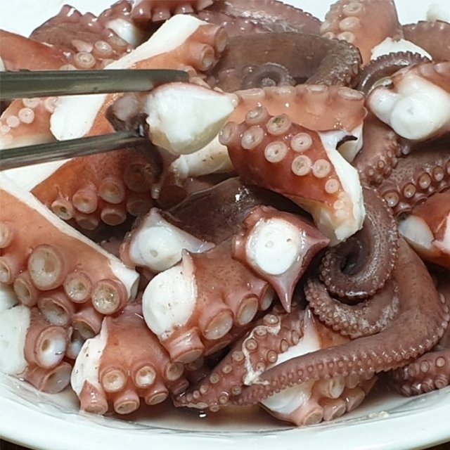 자연산 생물 돌문어 (2-3미) 1kg