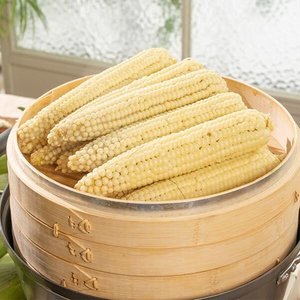 [신선한아침] 쫄깃하고 담백한 강원도 영월 냉동옥수수 12~16cm 2팩(6개입) 