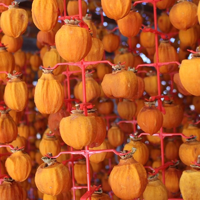 프리미엄 상주곶감 반건시 실속형 20구 선물세트