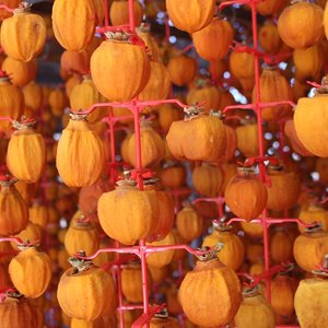 프리미엄 상주곶감 반건시 실속형 20구 선물세트