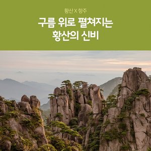 [노랑풍선] 황산/항주 4일 (세계적인 명산으로 떠나는 여행)