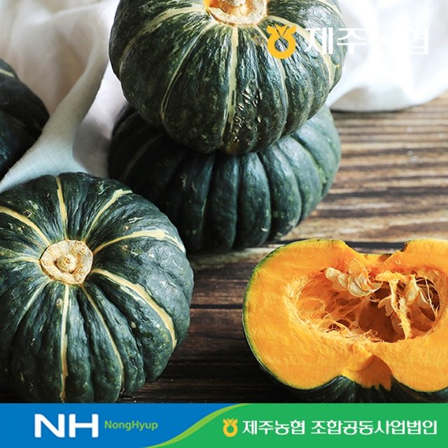 25년 수확 제주농협 햇살바람 햇 미니단호박 7kg(13~24입)