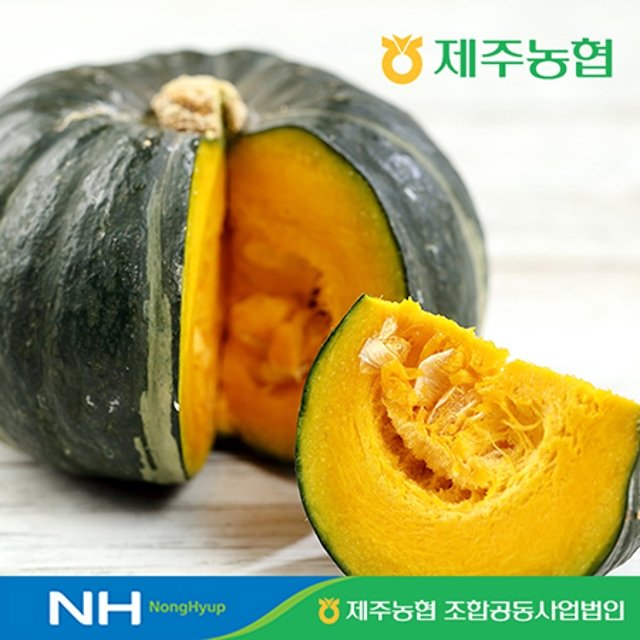 25년 수확 제주농협 햇살바람 햇 미니단호박 7kg(13~24입)
