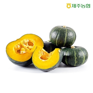 25년 수확 제주농협 햇살바람 햇 미니단호박 7kg(13~24입)