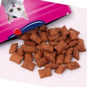 고양이용 크리스피 간식 연어 60g 저지방 고양이 사료 (WFK7GDJ)