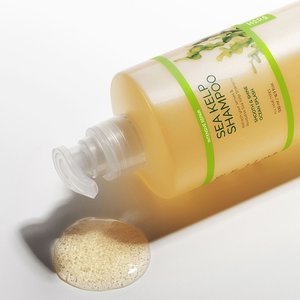 하라즈 다시마 샴푸 500ml 