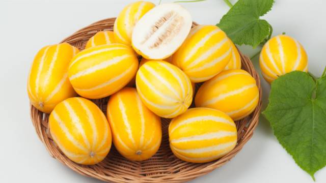 [크기혼합/표면흠집] 달콤왕 성주 햇 꿀 참외 5kg
