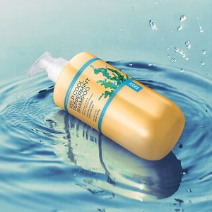하라즈 다시마 쿨 페퍼민트 박하 샴푸 500ml