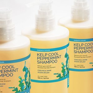 하라즈 다시마 쿨 페퍼민트 박하 샴푸 500ml