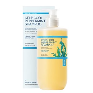 하라즈 다시마 쿨 페퍼민트 박하 샴푸 500ml
