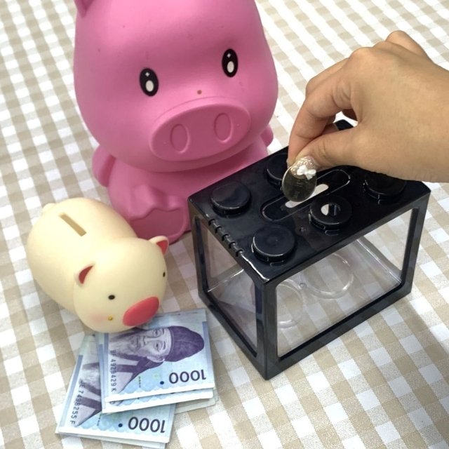 마리모 키우기 블럭 미니어항 블랙 (WFKMKGH)