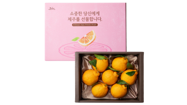 [제철진미]나주배/한라봉/레드향 외 설 선물