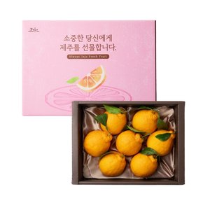 제철진미 제주 햇 한라봉 선물세트 1.5kg (7과 내외) 서귀포 직송 (고급 보자기포장)