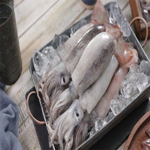 [쇼핑엔티 강력추천!] 구룡포 손질 통오징어 110g × 12미