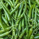 국내산 청양고추 상급 1kg