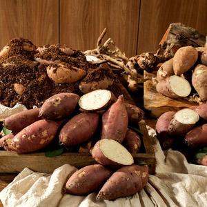 25년 햇 해남 황토 밤고구마 3.5kg 1box