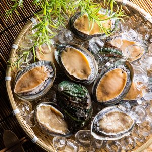 산지직송 완도 활 전복 1kg(4-6미)/특특대+손질도구 증정