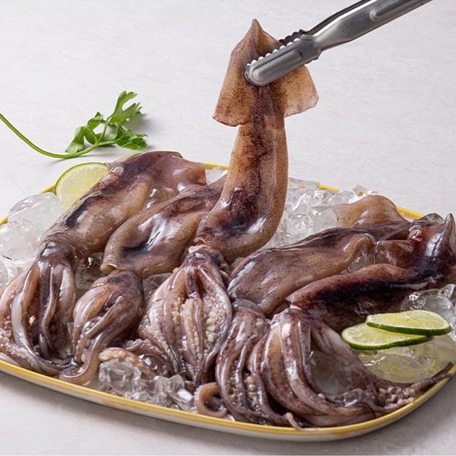 통찜용 오징어 600g (5~7미)