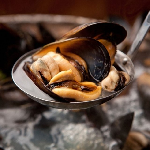 당일채취 깨끗하게 손질한 통영 생 홍합 4kg