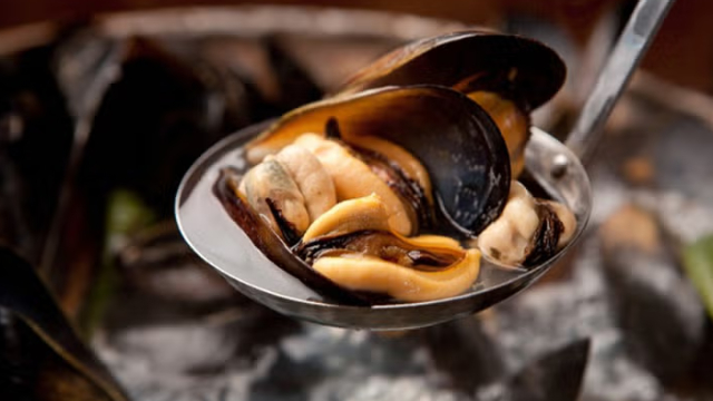 당일채취 깨끗하게 손질한 통영 생 홍합 4kg