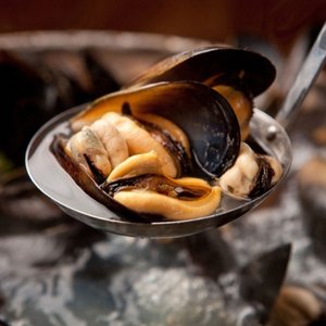 당일채취 깨끗하게 손질한 통영 생 홍합 4kg