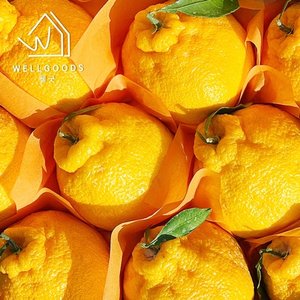 [웰굿] 제주직송 새콤달콤한 한라봉 1kg(7-8과내외,소과)