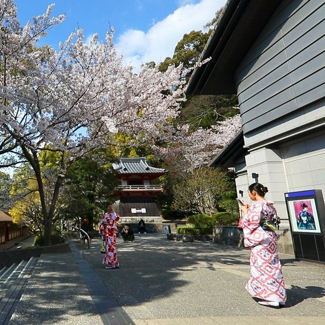 [하나투어] 선내에서 알차게 즐기는! 규슈 부관훼리 3일/4일