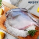 18252143_상품대표이미지