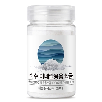데일리온 순수 미네랄 용융소금 250g x 1병