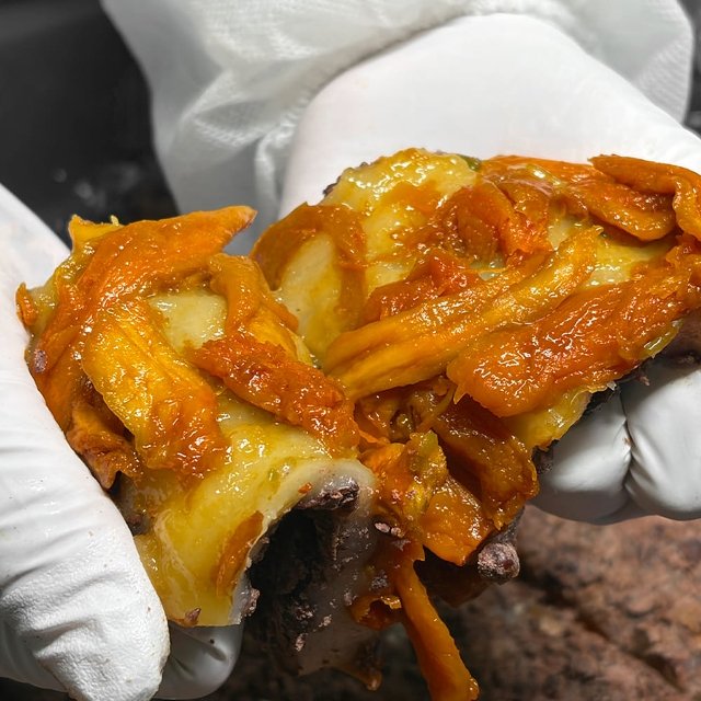 조선팔도떡집 달콤 호박고지시루떡 1kg