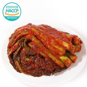 HACCP인증 김치장인 국내산 전라도 갓김치 10kg