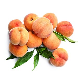 고흥 햇 황도 복숭아 2.5kg (10과)