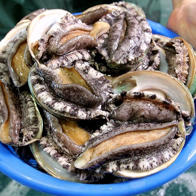 완도활전복 왕특특대 12미(미당100~120g)