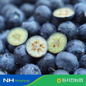 [특등급] 25년 햇 동서천농협 生블루베리 200g x 4팩 (총 800g)