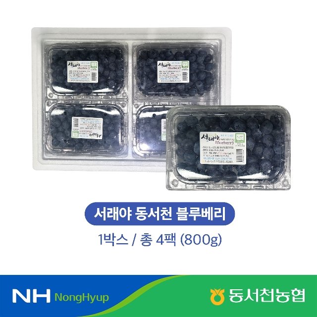 [특등급] 25년 햇 동서천농협 生블루베리 200g x 4팩 (총 800g)