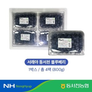 [특등급] 25년 햇 동서천농협 生블루베리 200g x 4팩 (총 800g)