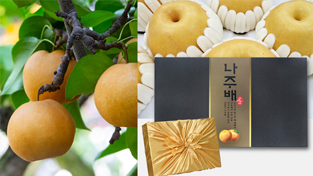 [특등급] 나주배 5kg(7~9과) + 선물용 보자기 1장