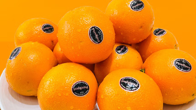 상큼달콤 블랙라벨 오렌지! 브랜드랜덤발송🍊