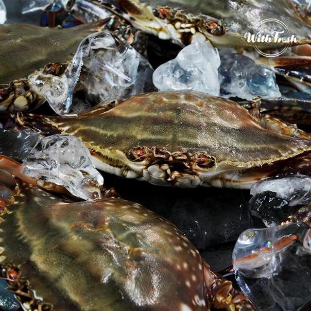 국내산 실속 절단꽃게  350g x 10팩 (총 3.5kg)